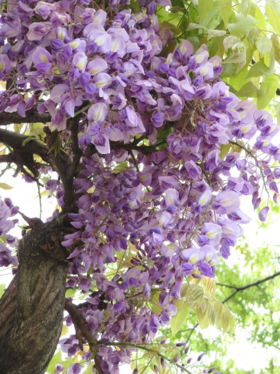 f:id:ushidama:20190429070512j:plain