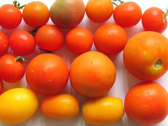 f:id:ushidama:20190627093904j:plain