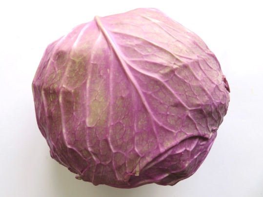 f:id:ushidama:20190702135949j:plain f:id:ushidama:20190702135949j:plain