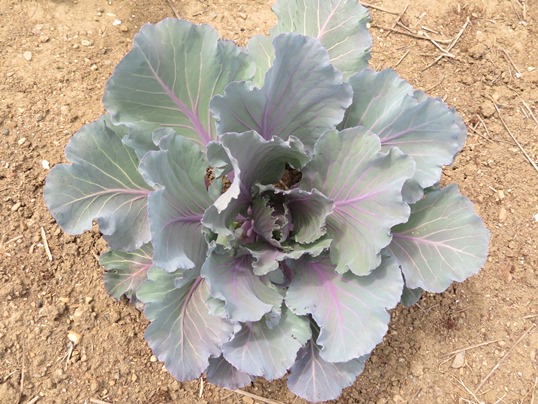 f:id:ushidama:20190702140138j:plain f:id:ushidama:20190702140138j:plain