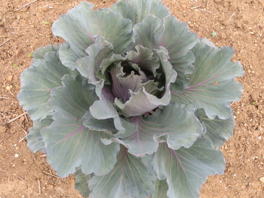 f:id:ushidama:20190702140239j:plain f:id:ushidama:20190702140239j:plain