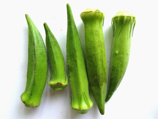 f:id:ushidama:20190710082311j:plain f:id:ushidama:20190710082311j:plain