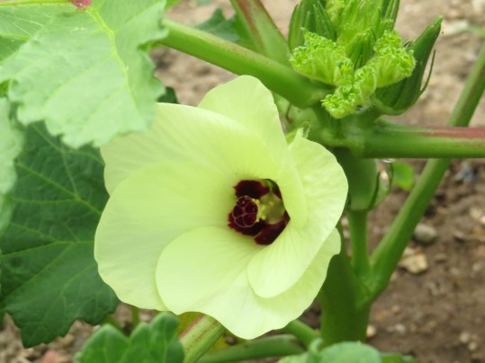 f:id:ushidama:20190710082345j:plain f:id:ushidama:20190710082345j:plain