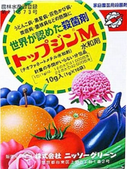 f:id:ushidama:20190722114258j:plain f:id:ushidama:20190722114258j:plain