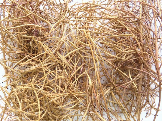 f:id:ushidama:20190724070449j:plain f:id:ushidama:20190724070449j:plain
