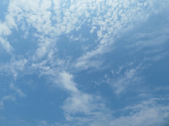 f:id:ushidama:20190728173818j:plain