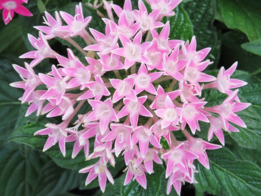 f:id:ushidama:20190802110518j:plain f:id:ushidama:20190802110518j:plain