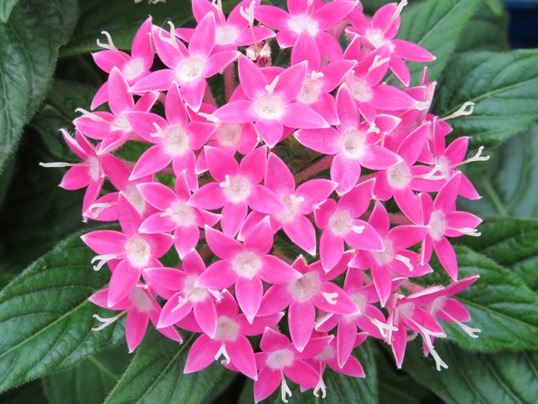 f:id:ushidama:20190802110534j:plain f:id:ushidama:20190802110534j:plain