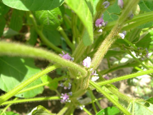 f:id:ushidama:20190813113827j:plain f:id:ushidama:20190813113827j:plain
