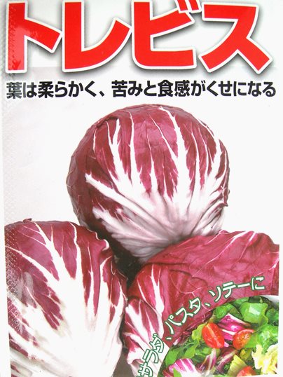 f:id:ushidama:20191030092508j:plain