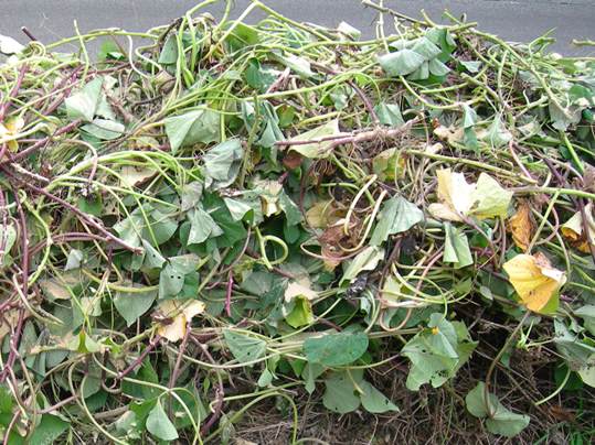 f:id:ushidama:20191105183424j:plain