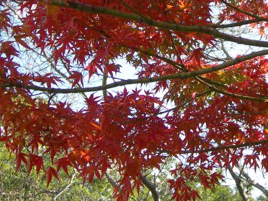 f:id:ushidama:20191120075509j:plain