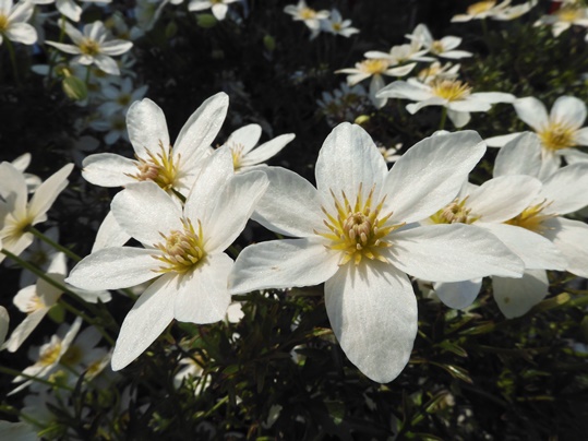 f:id:ushidama:20200413055523j:plain f:id:ushidama:20200413055523j:plain