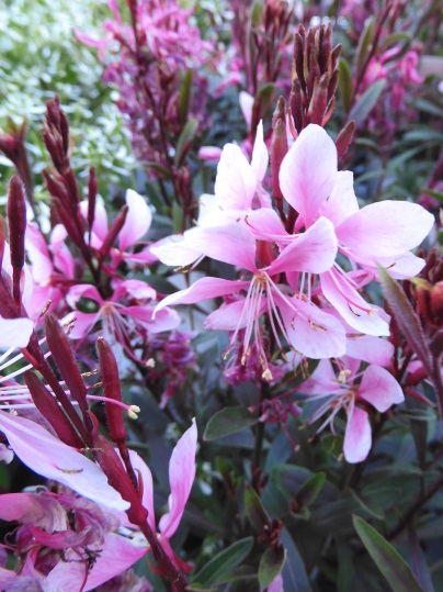 f:id:ushidama:20200502062754j:plain