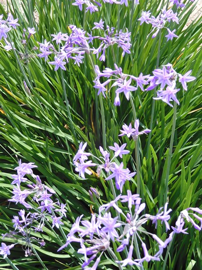 f:id:ushidama:20200617054825j:plain f:id:ushidama:20200617054825j:plain