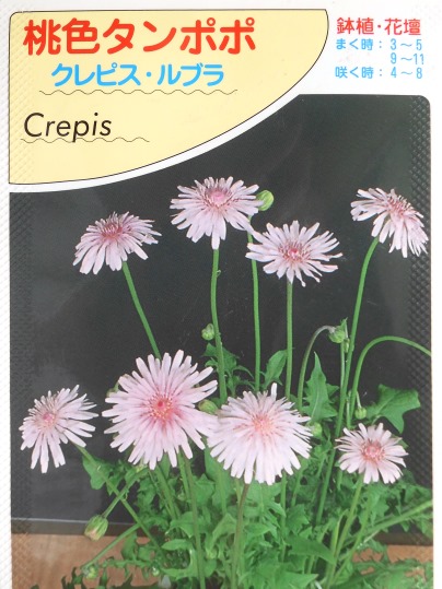 f:id:ushidama:20200904074813j:plain