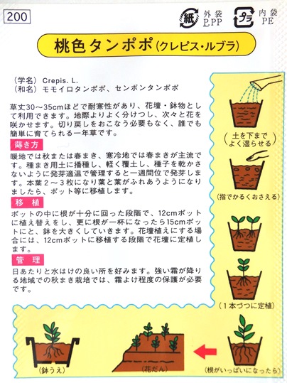 f:id:ushidama:20200904074831j:plain