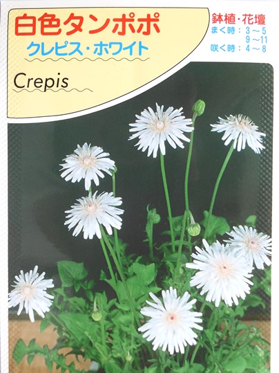 f:id:ushidama:20200904074856j:plain