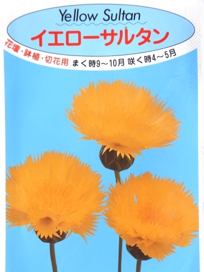f:id:ushidama:20200904074947j:plain