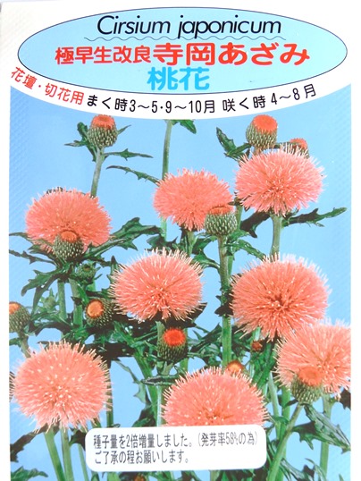 f:id:ushidama:20200904075035j:plain