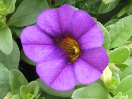 f:id:ushidama:20200921071109j:plain f:id:ushidama:20200921071109j:plain
