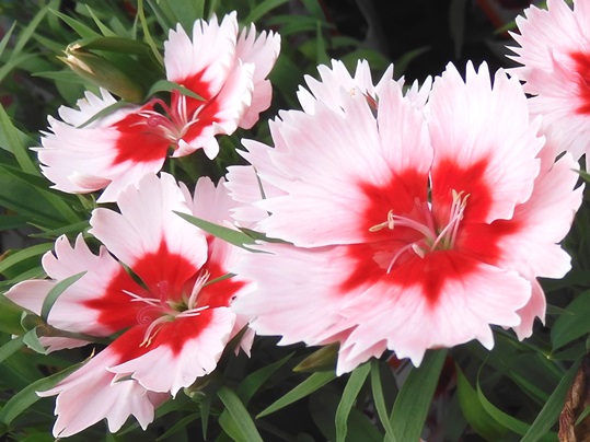 f:id:ushidama:20200927060301j:plain f:id:ushidama:20200927060301j:plain