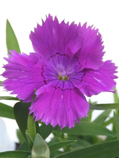 f:id:ushidama:20200927060805j:plain f:id:ushidama:20200927060805j:plain