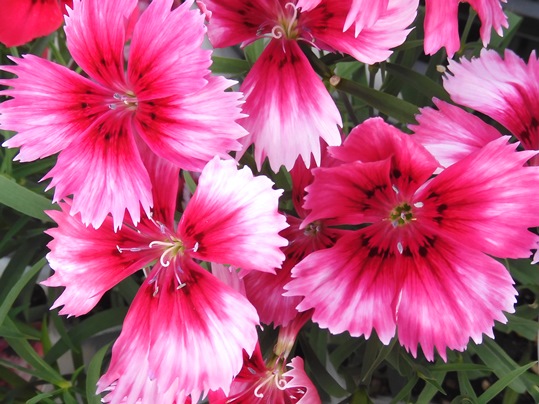 f:id:ushidama:20200927060906j:plain f:id:ushidama:20200927060906j:plain