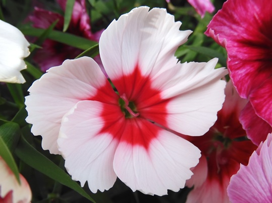 f:id:ushidama:20200927063004j:plain f:id:ushidama:20200927063004j:plain