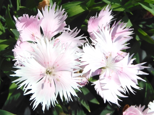 f:id:ushidama:20200927063041j:plain f:id:ushidama:20200927063041j:plain