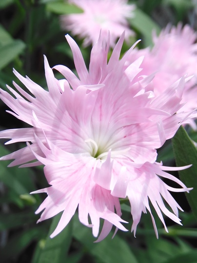 f:id:ushidama:20200927063317j:plain f:id:ushidama:20200927063317j:plain