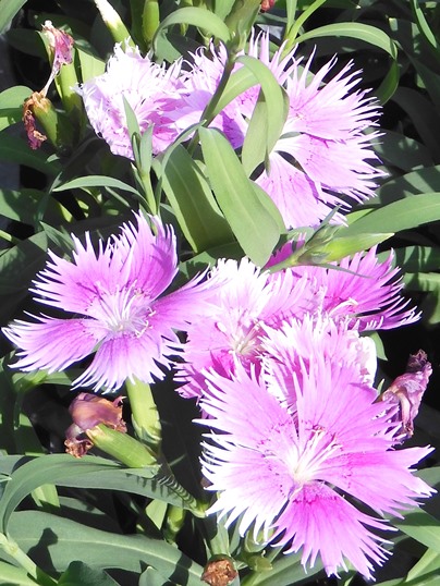 f:id:ushidama:20200927063755j:plain f:id:ushidama:20200927063755j:plain