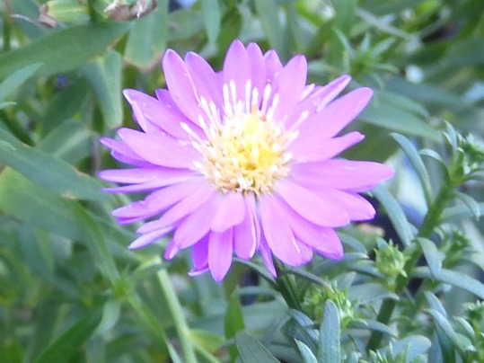f:id:ushidama:20200928065309j:plain f:id:ushidama:20200928065309j:plain