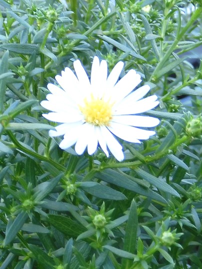 f:id:ushidama:20200928065418j:plain f:id:ushidama:20200928065418j:plain