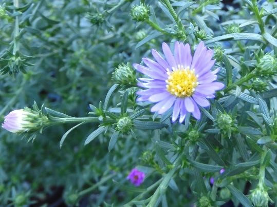 f:id:ushidama:20200928065435j:plain f:id:ushidama:20200928065435j:plain