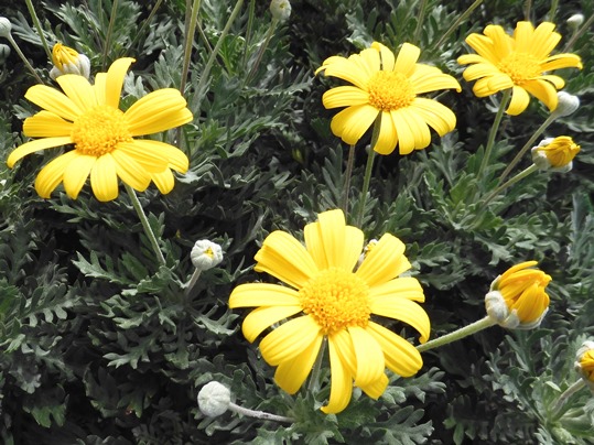 f:id:ushidama:20201009070349j:plain