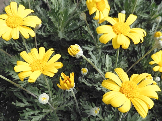 f:id:ushidama:20201009070400j:plain