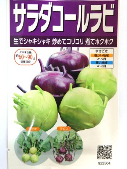 f:id:ushidama:20210315234816j:plain