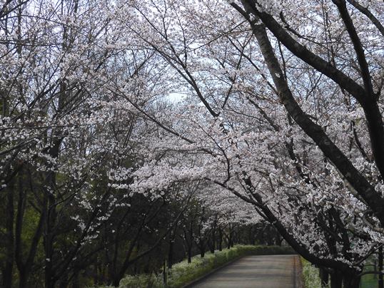 f:id:ushidama:20210326183149j:plain
