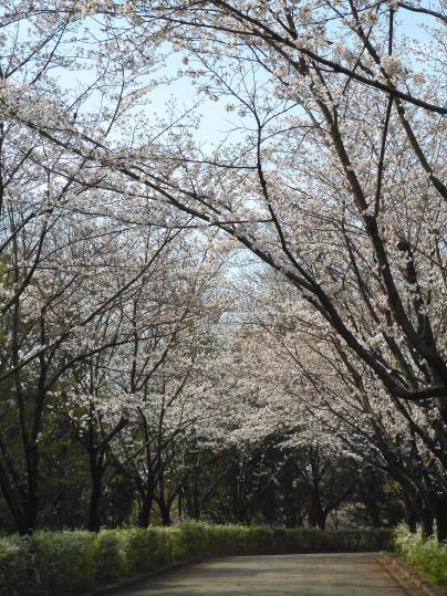 f:id:ushidama:20210326183204j:plain