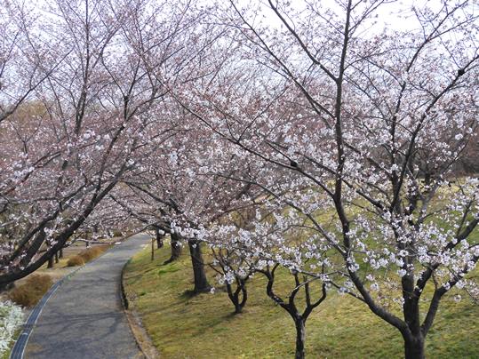 f:id:ushidama:20210326183402j:plain