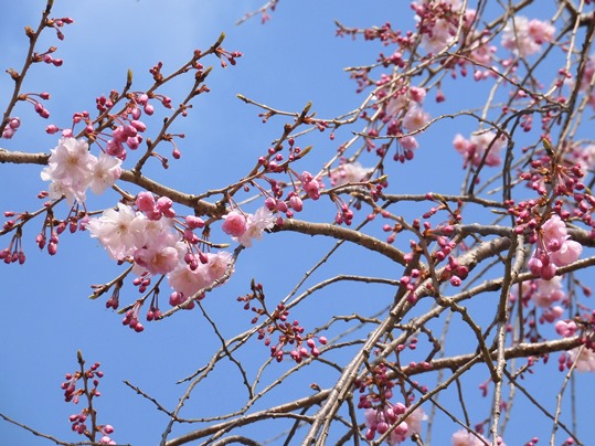 f:id:ushidama:20210326183458j:plain