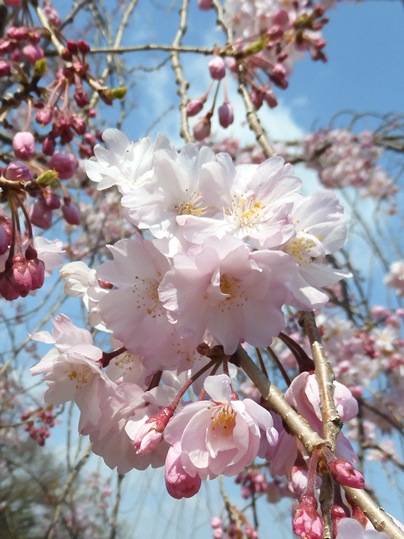 f:id:ushidama:20210326183513j:plain