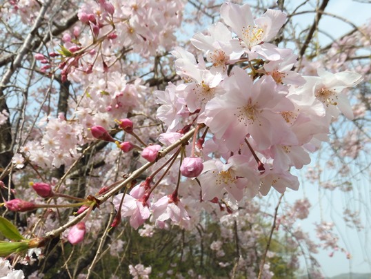f:id:ushidama:20210331080026j:plain