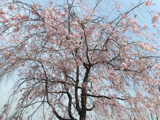 f:id:ushidama:20210331080114j:plain