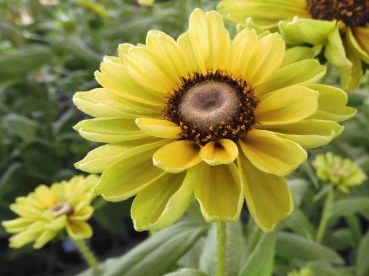 f:id:ushidama:20210717072409j:plain