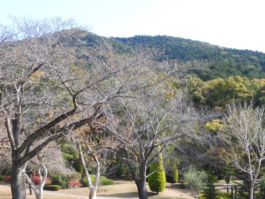 f:id:ushidama:20211126050835j:plain