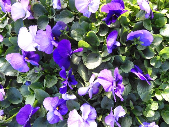 f:id:ushidama:20211202111323j:plain