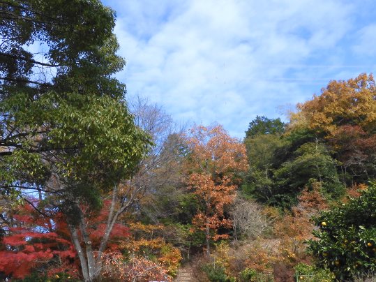 f:id:ushidama:20211207052145j:plain