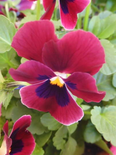 f:id:ushidama:20211208075622j:plain